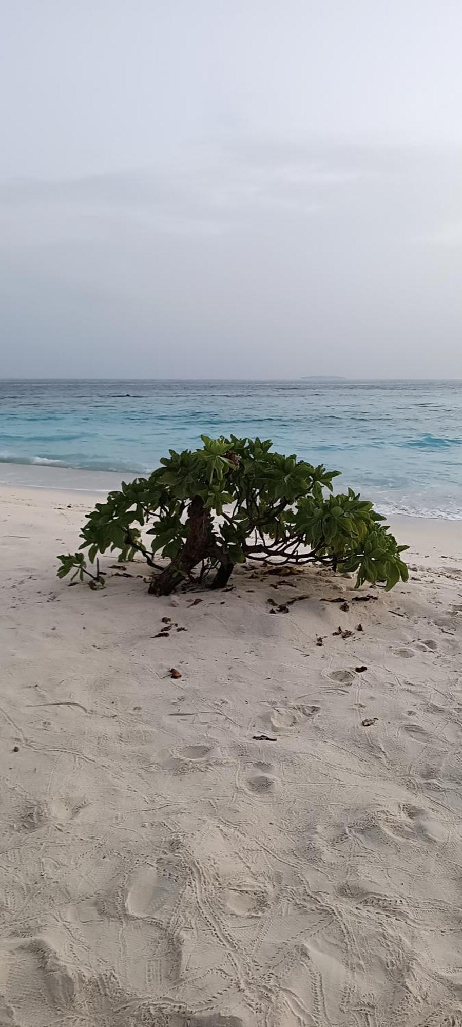 Manta Sky Inn Dharavandhoo Exterior foto